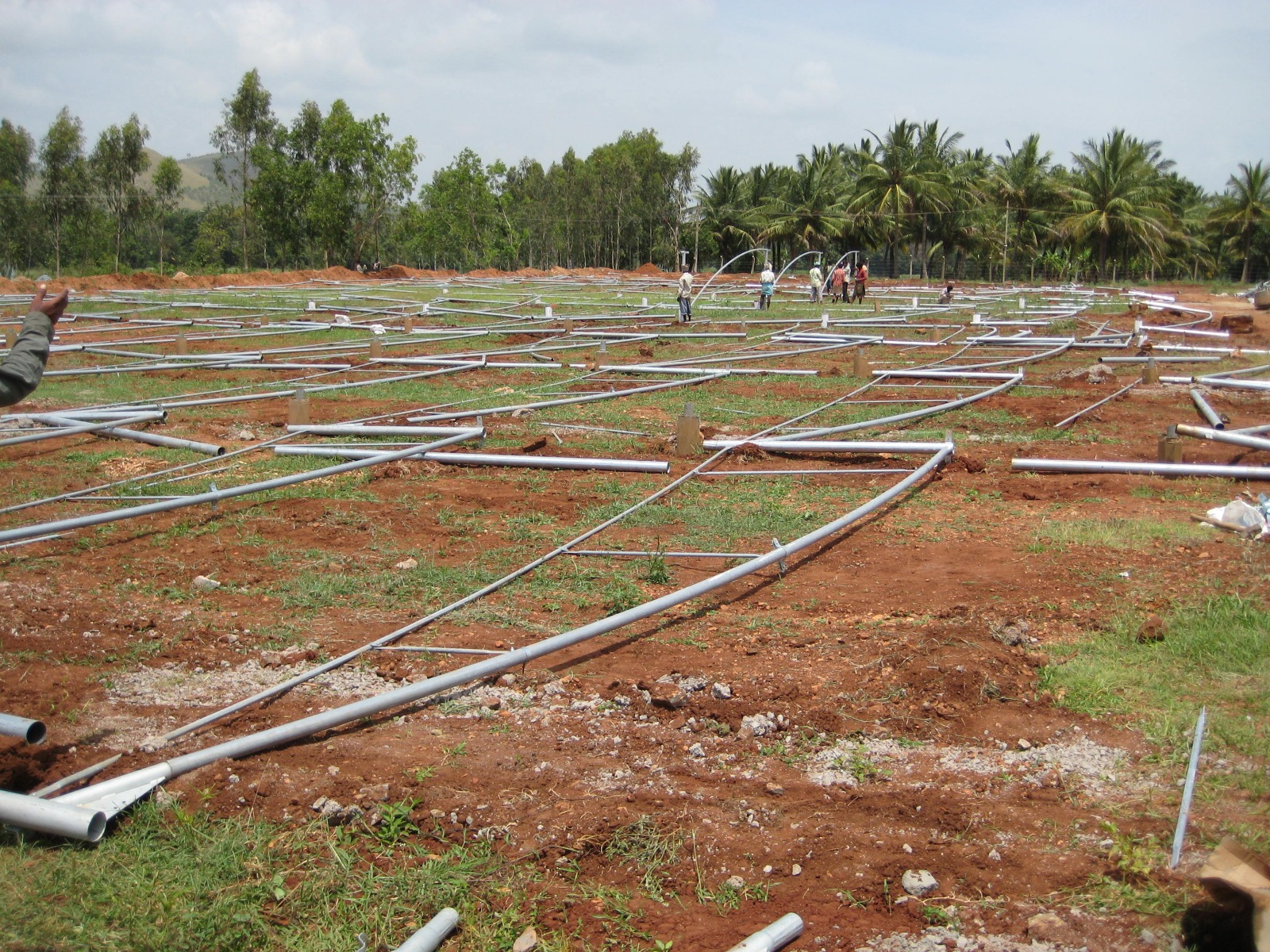 Greenhouse Project 23